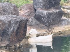 -镇江中国醋文化博物馆