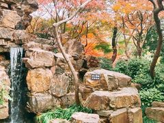 -秋霞圃
