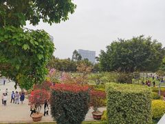 -狐尾山公园