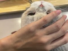 -平行世界·猫咖(首经贸店)