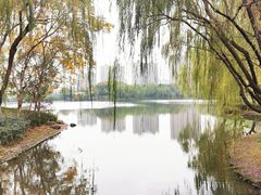 -杭州城北体育公园