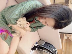 -喵百万·布偶·蓝金金渐层英短·猫舍(百子湾店)