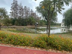 -上海长兴岛郊野公园