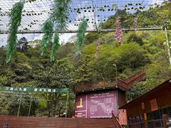 -太湖源风景区