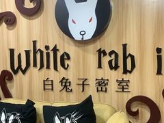 -白兔子密室(长寿路店)