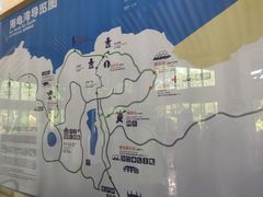 -广东惠东海龟国家级自然保护区