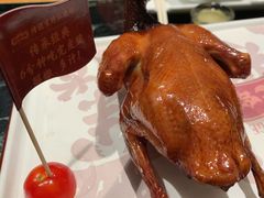 红烧乳鸽-大鸽饭(北京路店)
