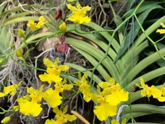 -北京植物园-展览温室