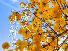 -丹樱生态园