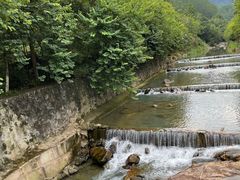 -广州白江湖森林公园