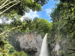 -云南屏边大围山国家公园