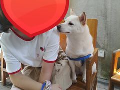 -猫色咖啡·猫咖