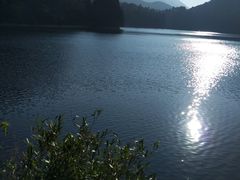 -庐山风景区花径公园