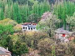 -崂山九水游览区