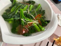 -东鸽皇(奥园·中环广场店)