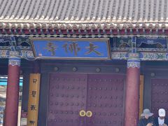 -张掖大佛寺景区