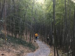 -穹窿山景区