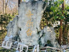 -音乐台