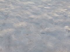 -大冬树山垭口