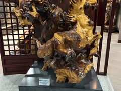 -烟台自然博物馆