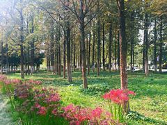 -河海大学(江宁校区)