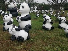 -上海海湾国家森林公园