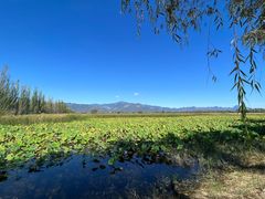 -野鸭湖国家湿地公园