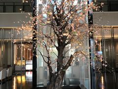 -成都安仁福朋喜来登酒店