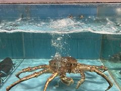 -小北江河鲜(新城店)