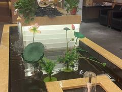 -宏宴·新京菜(望京店)