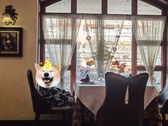 -维兰西餐(万泉河店)