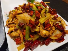 酱爆八爪鱼-福苗小骆驼烧烤(大唐不夜城店)