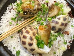 盐焗大花螺-吴记富苑(朝阳店)