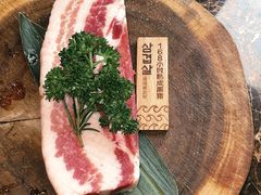 -火浪壹 by tigergrill(33小镇店)