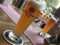 -Paulaner·德国帕拉娜自酿啤酒餐厅(海上世界店)