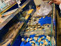 -高佳庄·舟山海鲜(海景旗舰店)