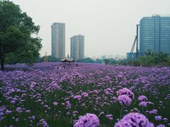 -杭州城北体育公园