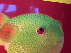 -永安鱼庄·镇江菜(东吴路店)