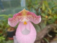 -北京植物园-展览温室