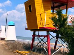 -巧克力渔家.小船海鲜家常菜(万平口店)