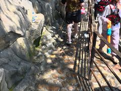 -将军关探险漂流