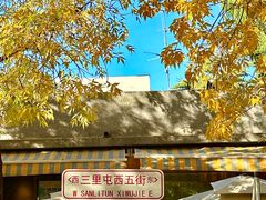 -三里屯东五街银杏大道