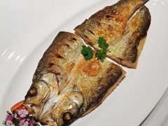 香煎翘嘴鱼-润泽天·湘味家宴(岳麓山店)