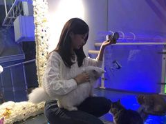 -极木²邸 人与宠物·互动社区