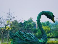 -森波拉火山温泉