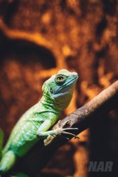 -酷嗒动物文化乐园(cutezoo西溪乐天城店)