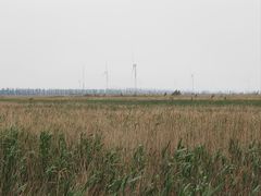 -野鸭湖国家湿地公园