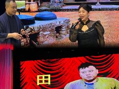 -中街刘老根大舞台