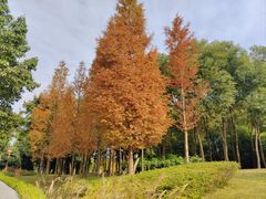 -眉山湿地公园(东坡区)