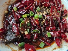 -付小姐在成都(中山公园店)